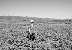 ��ҩ�Լ��� ���β���Ҫ�ĸ���