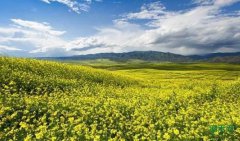 ɽ�����Σ�������������ɫ����