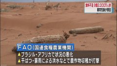 ���Ϲ���ũ��֯:2017��Լ��8.2����������ʳ��ȱ����