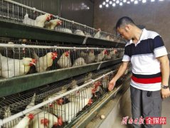 ��̬��ֳ�û������̡�����