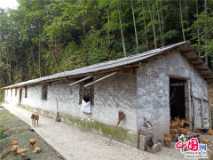 ���ϰ����ƺ���:����־�� ��̬��ֳ����ƶ�¸�