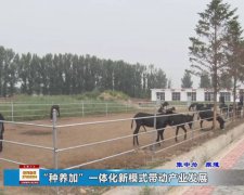 �������ӡ�һ�廯��ģʽ����¿��ҵ��չ