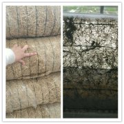 �ຣĳ������-�ṩֲ���ָ�����