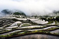 ������ɫũҵ��ҵ������Ʒ�ƹ��������ԡ���ˮɽ����Ϊ