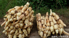 ź���������ܺ���,���ܴ�������������!