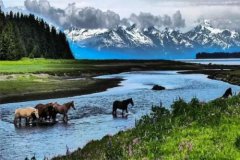 ������Ȼ:ˮ���������ӳ��ơ������绥��ʱ���ġ���ֵ