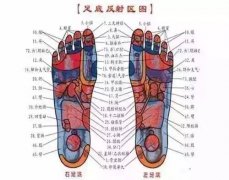 每天踩踩它，增强抵抗力，养出好