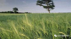 ��ũ����û�к���