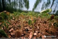 �л��ʡ���ֲ�ʡ���ֲ�ᵽ����ʲô����