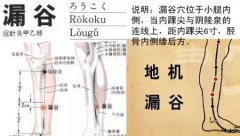 漏谷穴取穴位置，常按有什么好处