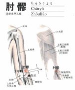 ���sѨ��׼ȷλ��ͼ�Լ�ȡѨ����