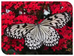 ������Ȼ��������������п־�