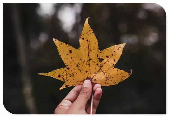 道法自然,开悟的人生无有恐惧