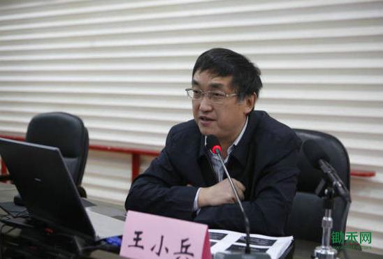 wang1.jpg