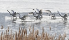 <b>��̬����:�ӡ����˺�һ��������Ȼ�������������Ȼ��</b>