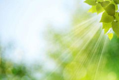 �����¾������򣨵ڶ�ʮ���£�������Ȼ