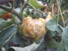 ��������������ô���Σ�