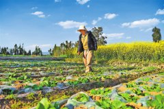 <b>ʡԴͷΡɽشչ̬ũҵ</b>