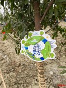 <b>ɶǹ԰һĨ̡δγɾũҵ</b>