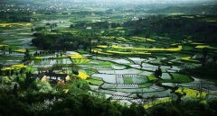 ũҵũ�岿��������ж����ƽ�ˮ����ֳҵ��ɫ��չ