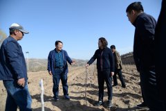 ᶨ ӭѶ ȫũҵũ幤¾ 