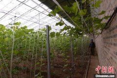 ɽϵ׵ֹչ۹ũҵ ƶϡ