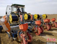 ½ţĮԵչǻũҵΪֲЧ