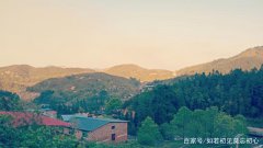 ũҵ��չ�С���ͷ��������ʲô��