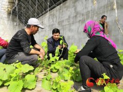 �������Ƽ�������ʩũҵ������Ч