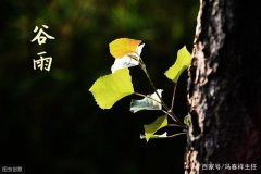 ཻ仯 ע3ص