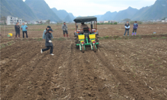 ƶũũںϷչ ũĩ65%