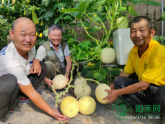 �����ũ������˼�Ƶ���ɫ�����Թϲ������ɴ���¼��