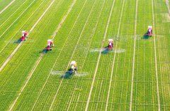 ���ڴ������Ͽ�������ũ������