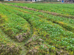 ������ƶ�ɹ��벻���������