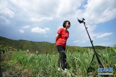 ̫�������ũ�ˡ�