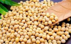 �й���ʳƷ��ҵѰ��ͻ��