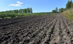 �����������벻����ѧ����