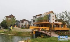 ������ɫ���� �����������