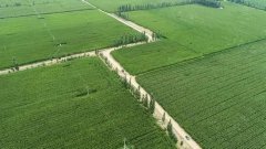 �����ʶ��һ��ȫ���߱�׼ũ�ｨ��滮����Ҫ����