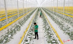 ����ũҵ�������ƶ��������