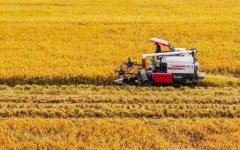 ����ʳ��ȫ�Ļ������ø�ʵ