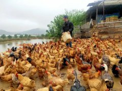 ȫ����ũ��ץ���������¸�