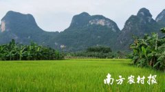 ����ѭ������ũҵ��ɫ��չ��ץ��