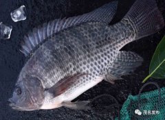 ï��2��Ʒ����ѡȫ������ũҵ��ҵƷ��Ӱ������ǿ��