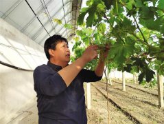 ���Ѽ��� ����ũ�ˡ���ʮ������غ�