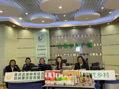 �ƺ������������˫����Ч�����ƽ�����ڣ������С���