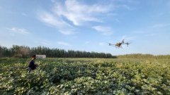 ��Ǽ��ֲ�����˻��ɷ���ҵ�Ƽ���ũ�Ȳ�����