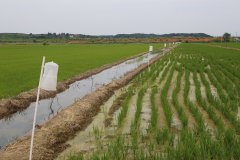 ���£���ɫ���� ʵ�֡���ڶ�����