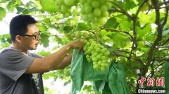 һ������¦����ũ�˵ġ�ʮ��ʱ����