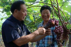 ����˫�������۾��˱�������ũ�ˡ� ۏ�����������